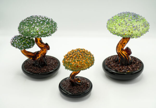 Bonsai - Image 4