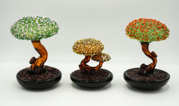 Bonsai - Image 3