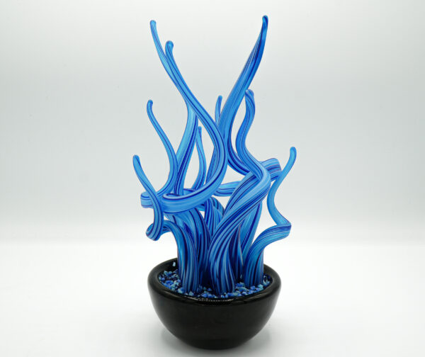 Seaweed-shaped plant - Image 4