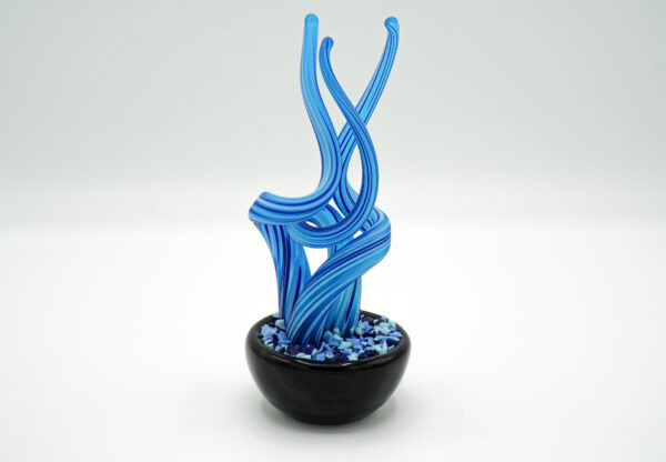 Seaweed-shaped plant - Image 5