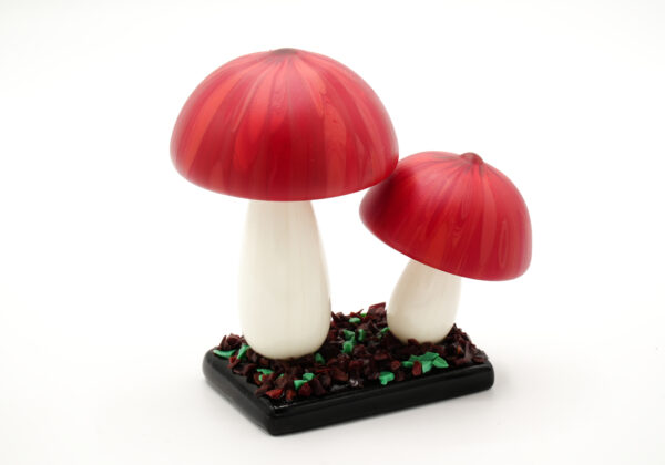Ornamental mushrooms - Image 2