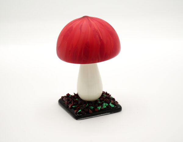 Ornamental mushrooms - Image 3