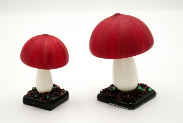 Ornamental mushrooms - Image 4