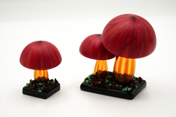 Ornamental mushrooms - Image 5