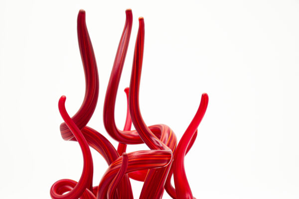 Seaweed-shaped plant - Image 9