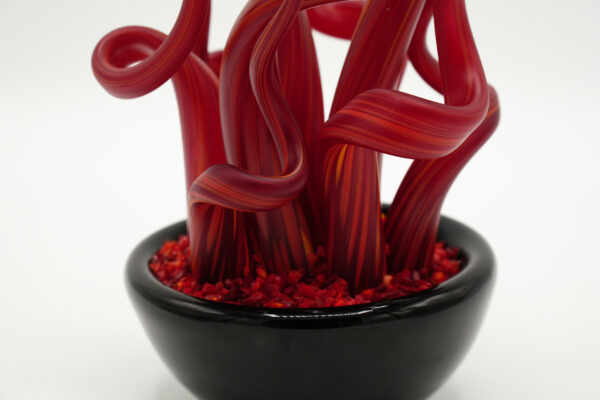 Seaweed-shaped plant - Image 8